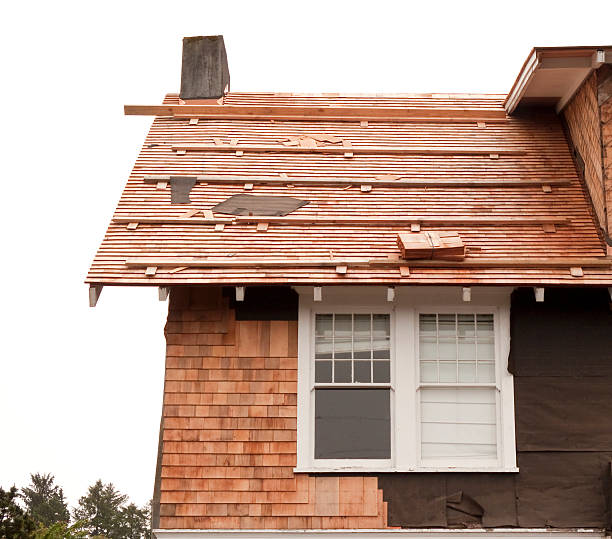 Affordable Siding Repair and Maintenance Services in Elbow Lake, MN